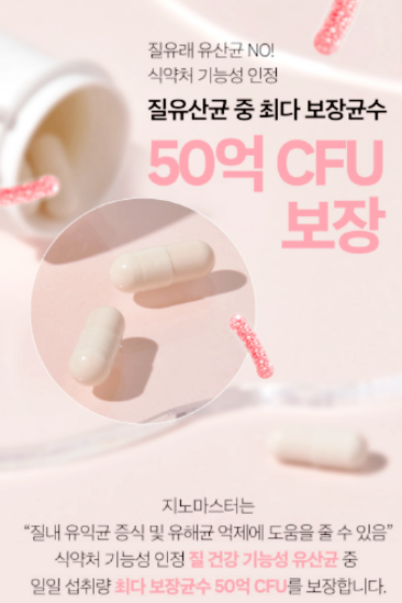 지노 이미지