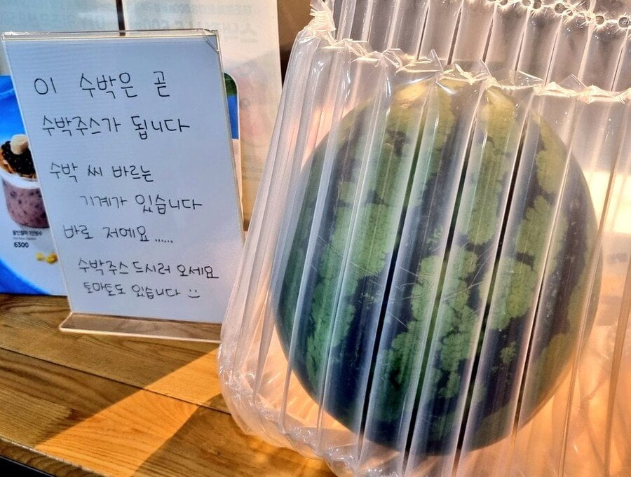 이디야 수박 씨 빼는 기계 쩐다 | 인스티즈