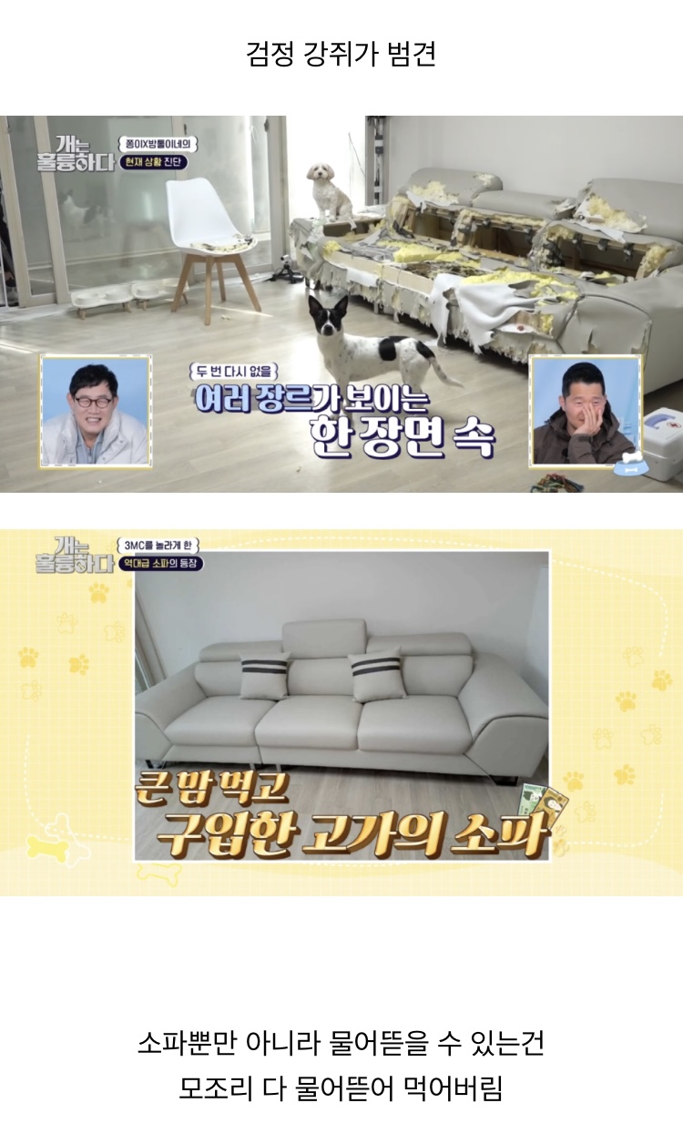 쫌쫌따리 모은 여캡 | 인스티즈