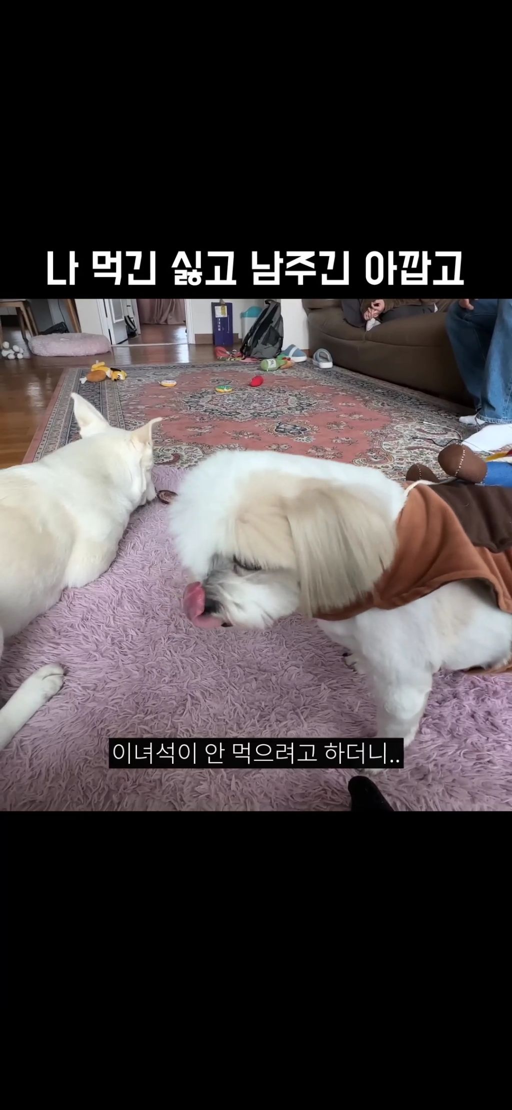 22만 유튜버 강복순 인성논란 | 인스티즈