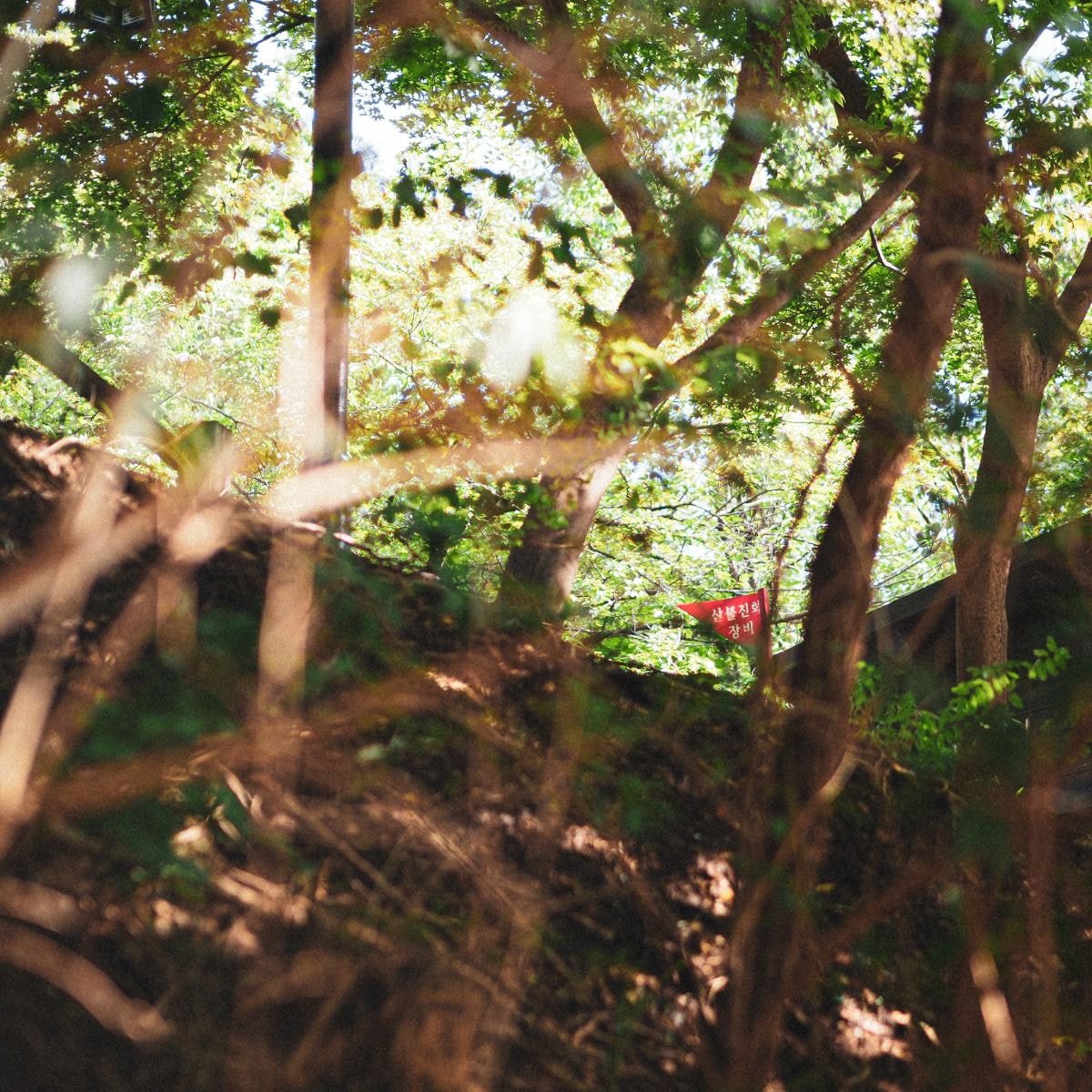 조울증 환자가 산책하면서 찍고 다닌 사진들 | 인스티즈