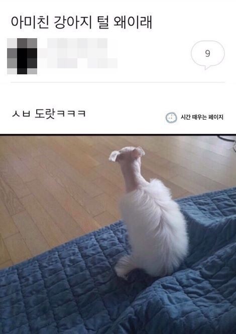 갤러리 짤털 짤털 짤털 짤털 짤털 짬털 (100장 깍 채움) | 인스티즈