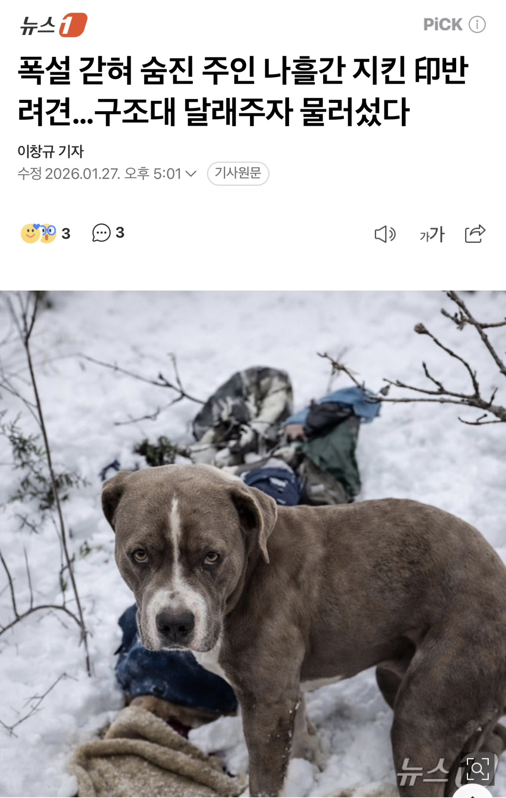 폭설 갇혀 숨진 주인 나흘간 지킨 印반려견…구조대 달래주자 물러섰다 | 인스티즈