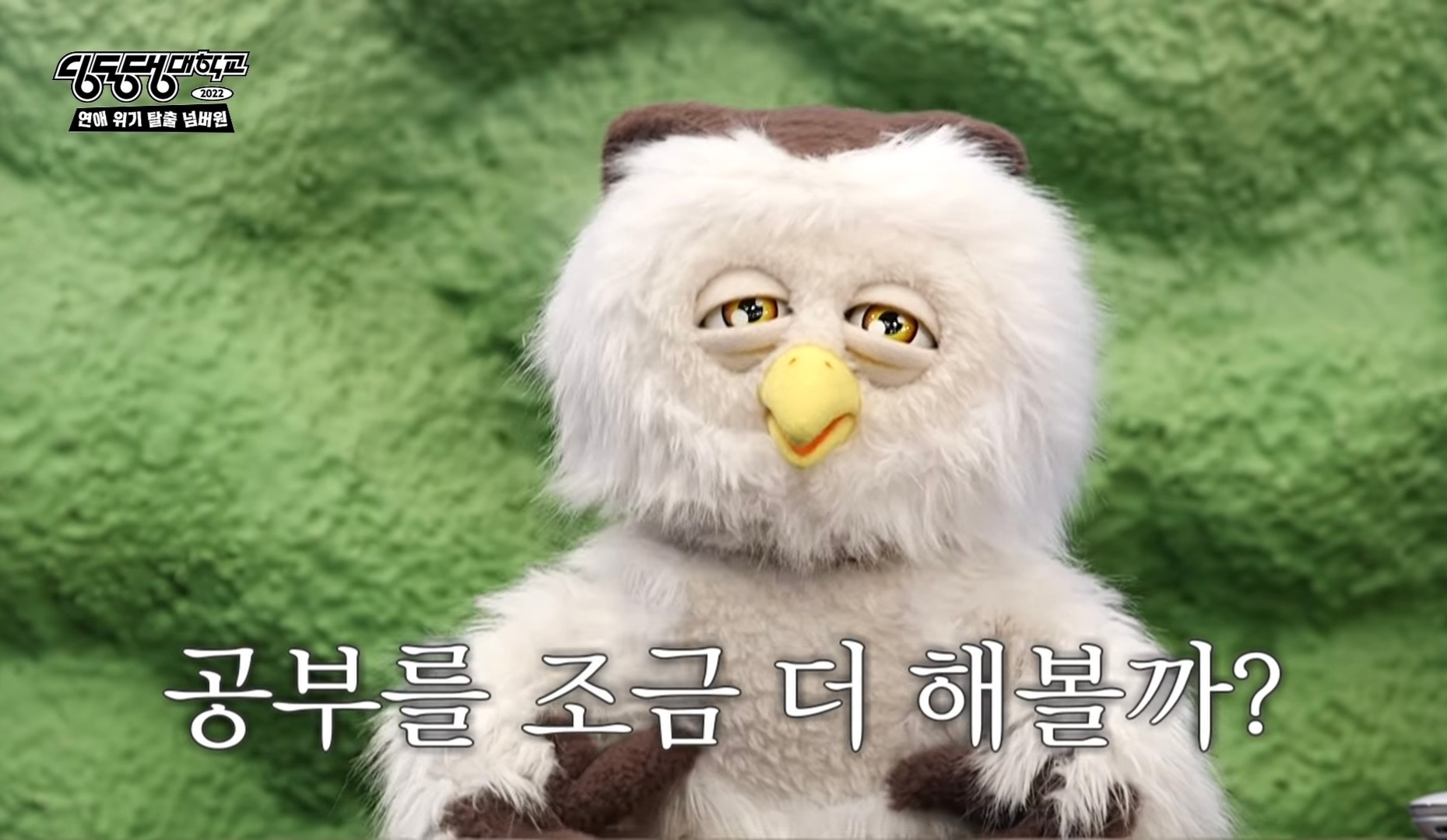 딩동댕 이미지