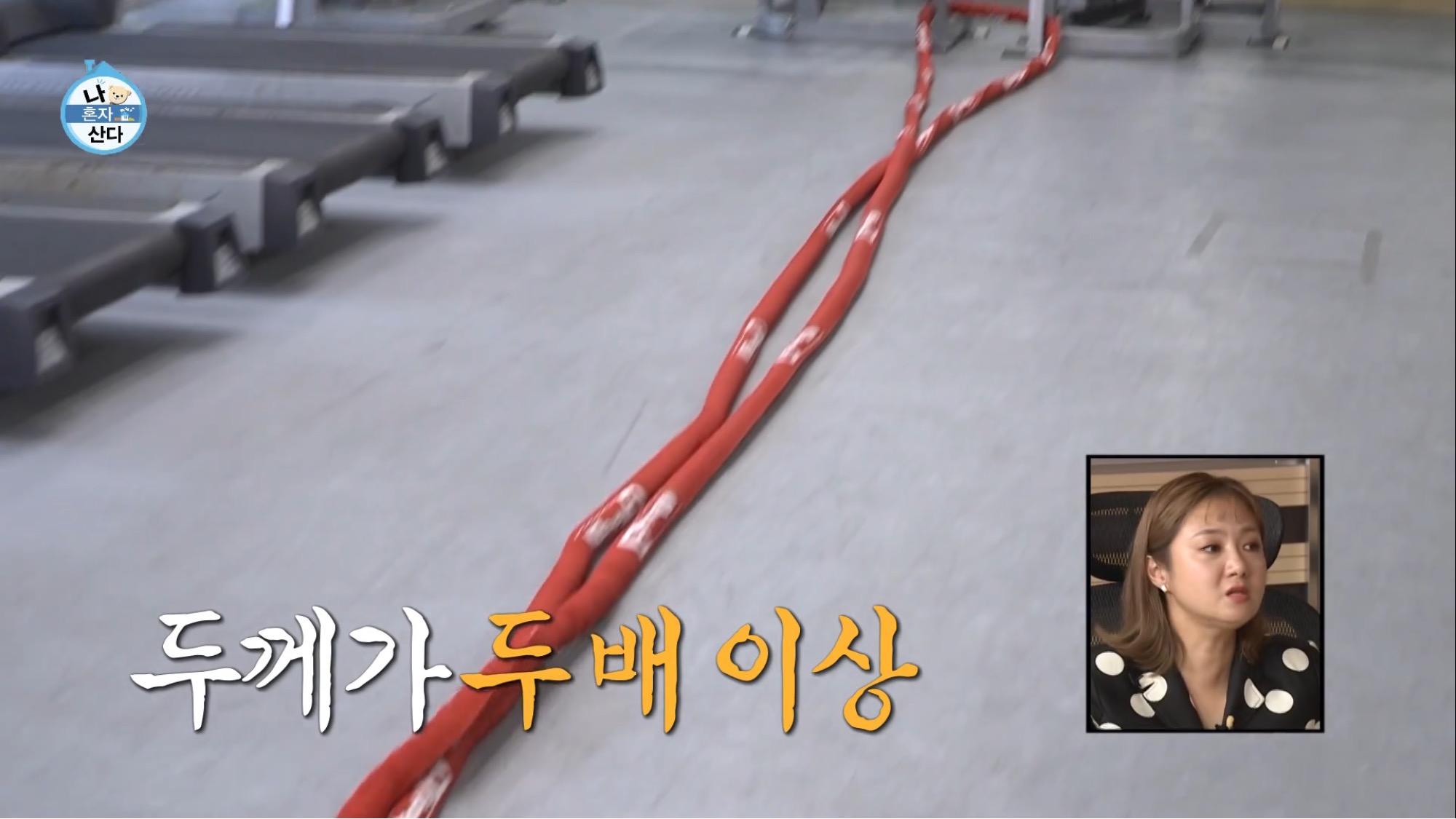 보는 사람이 다 힘들었던 나혼자산다 허훈편 | 인스티즈