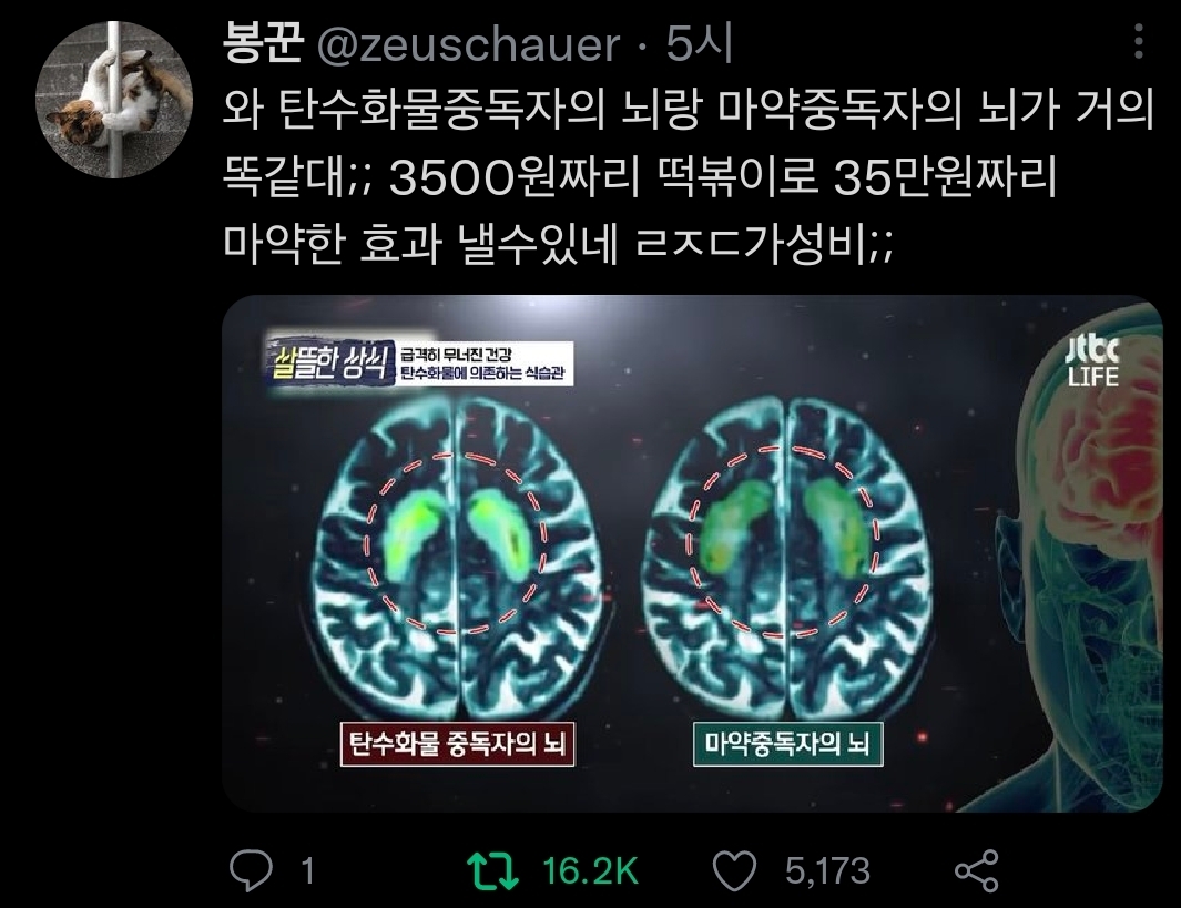 탄수화물 중독 빵순이들 심장뛸 트위터 태그 | 인스티즈