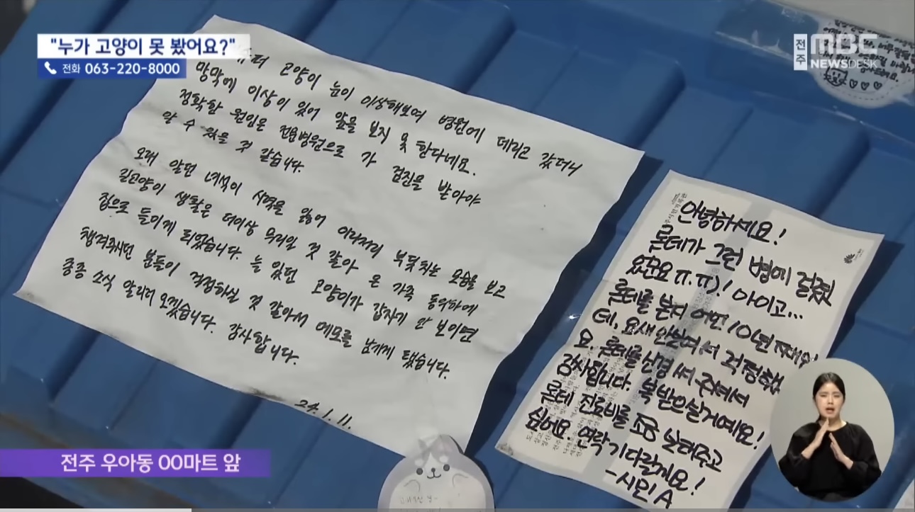 '눈먼 길고양이' 구조작전.. 훈훈한 쪽지 릴레이 | 인스티즈