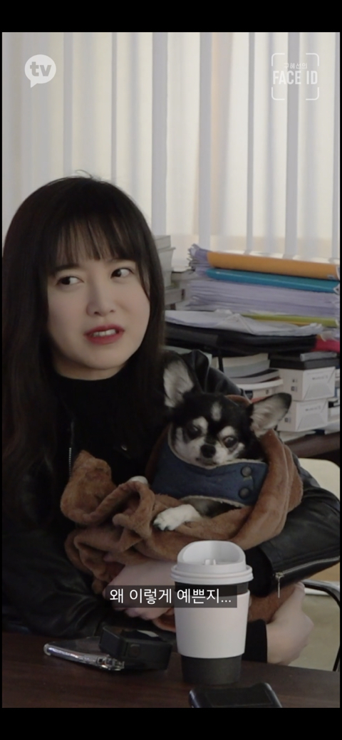 [페이스아이디] 순대가 하늘에서 구름밟고 떨어졌으면 좋겠어 다시 키우게 .. (별이 된 구혜선 반려견) | 인스티즈