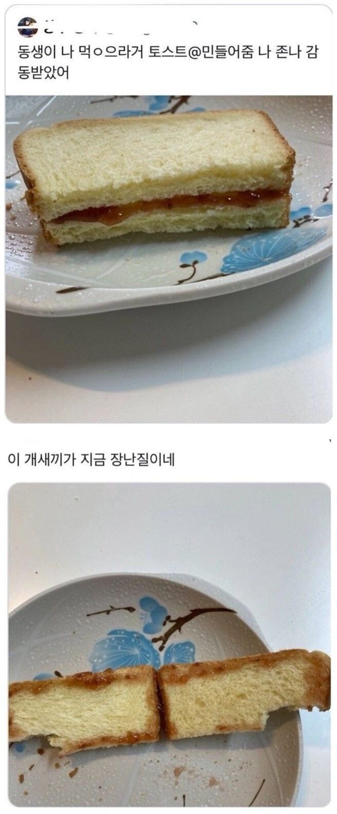 [눈물안방울] 동생이 만들어준 샌드위치... | 인스티즈