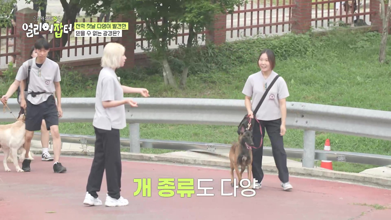 반려동물 키우는 사람들한테 도파민 터지게 만들었다는 한 고등학교 | 인스티즈