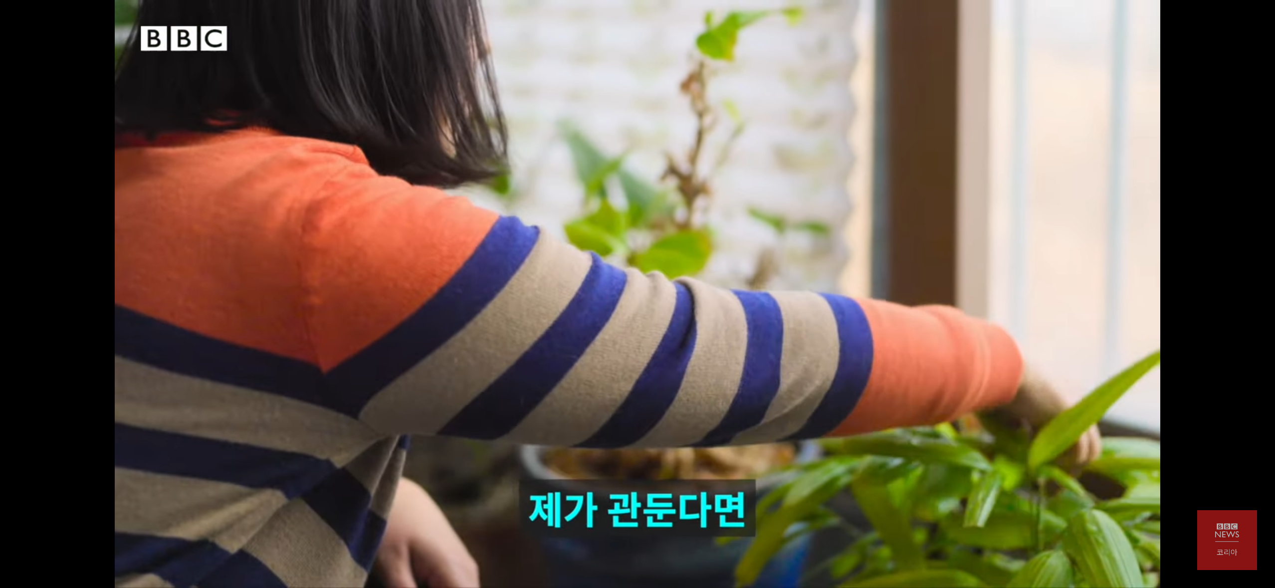 버닝썬을 폭로한 여성기자들 - 박효실, 강경윤 기자님 | 인스티즈
