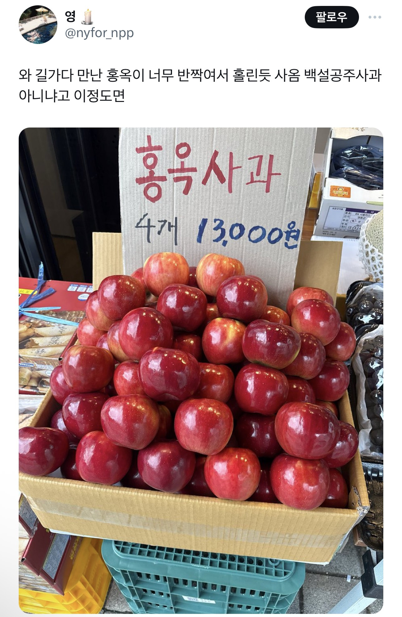 와 길가다 만난 홍옥이 너무 반짝여서 홀린듯 사옴 백설공주사과 아니냐고 이정도면 | 인스티즈