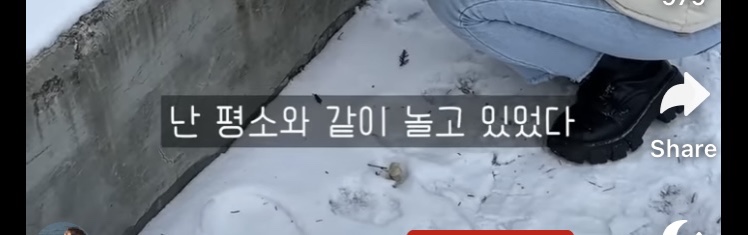 갑자기 찾아오는 실명: 겨울철 눈보라, 폭설, 새하얀 눈밭을 주의해야 하는 이유 | 인스티즈