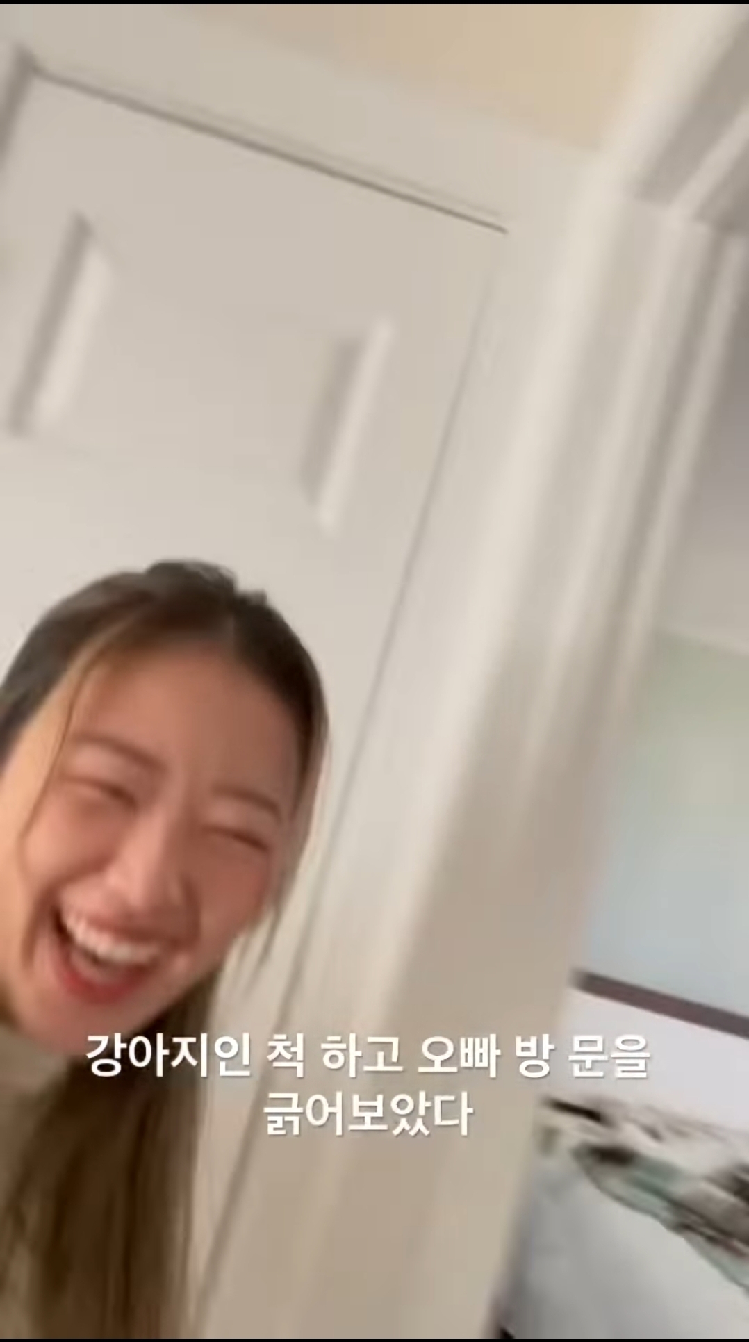 강아지인척하고 오빠 방문을 긁어보았다 | 인스티즈