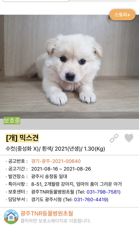 사랑이 느껴지는 포인핸드의 담당자들 | 인스티즈