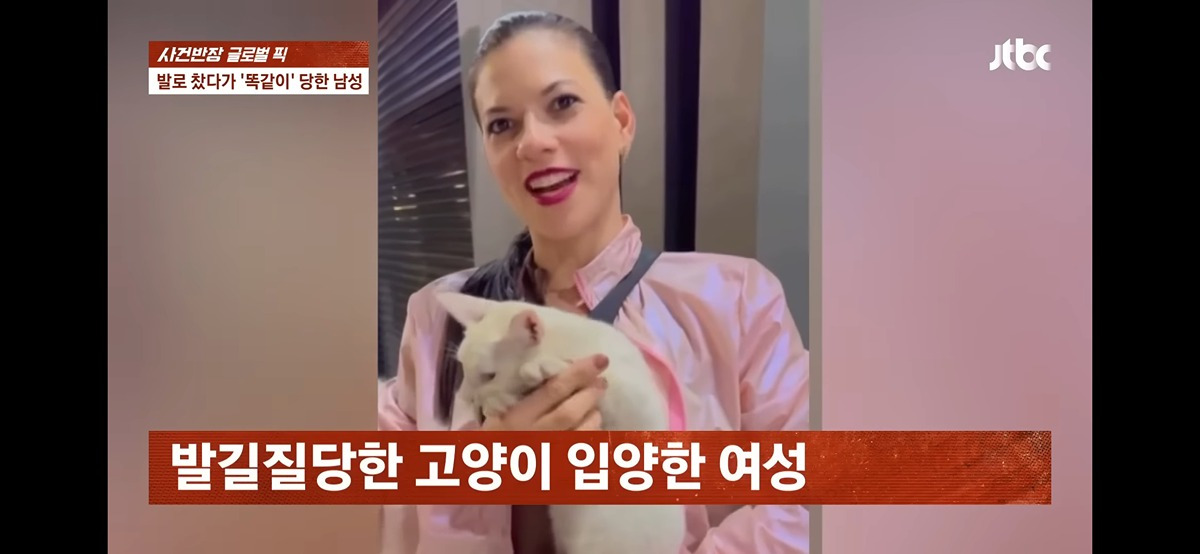 길고양이 발로 차는 남자를 목격한 상여자.gif | 인스티즈