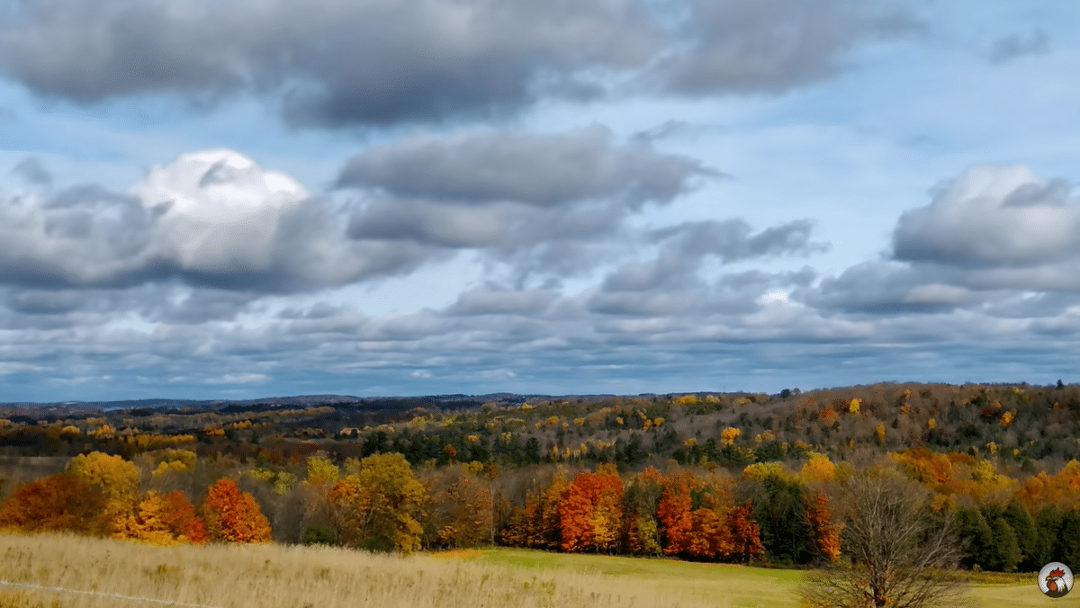 요즘 유튜브에서 은근히 인기 많다는 외국 시골 브이로그...jpg | 인스티즈
