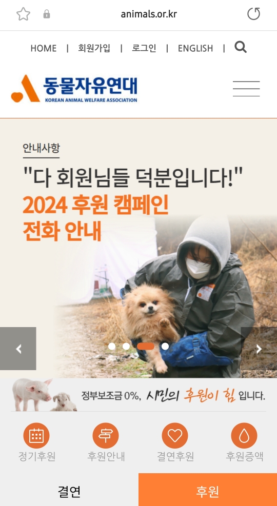 몸에 구멍난채로 끌려다니던 백구, | 인스티즈