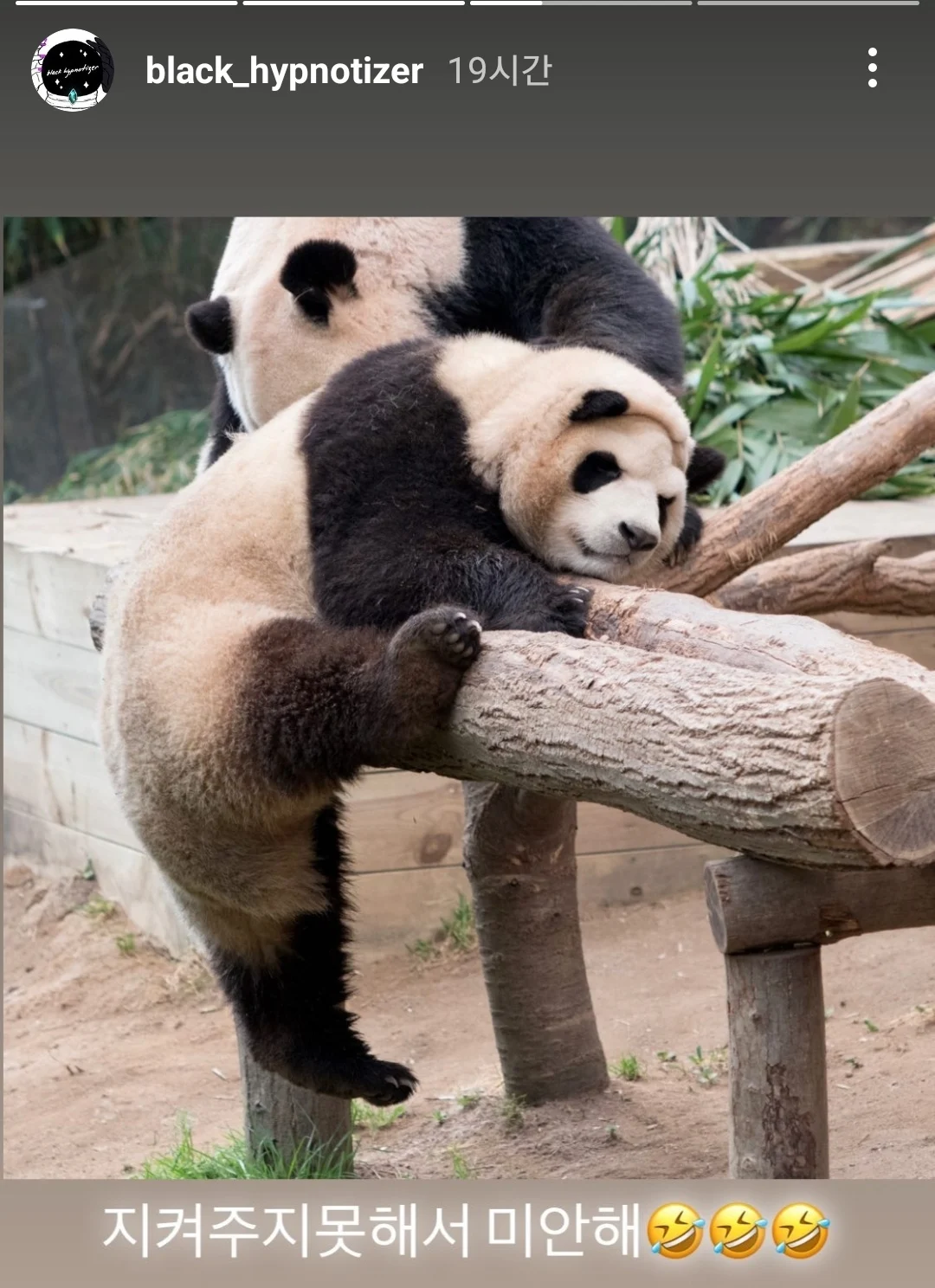 푸바오 얼굴 찌부 짤 모음 🥴 | 인스티즈