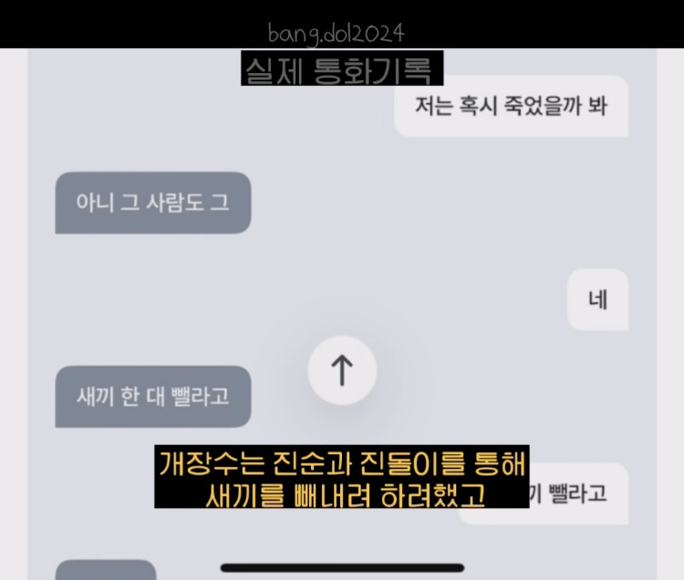 [입양홍보] 개장수에게 팔렸다 되찾아온 방치견 진순이·진돌이, 평생 가족을 찾아요! (부산/울산/전국) | 인스티즈