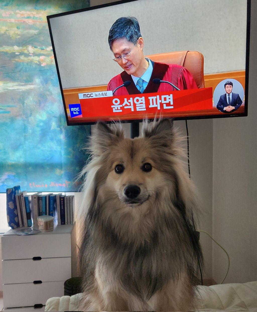 시장에서 만두 사는데 사장님이 잘생겼다고 만두를 더 줬어요 | 인스티즈