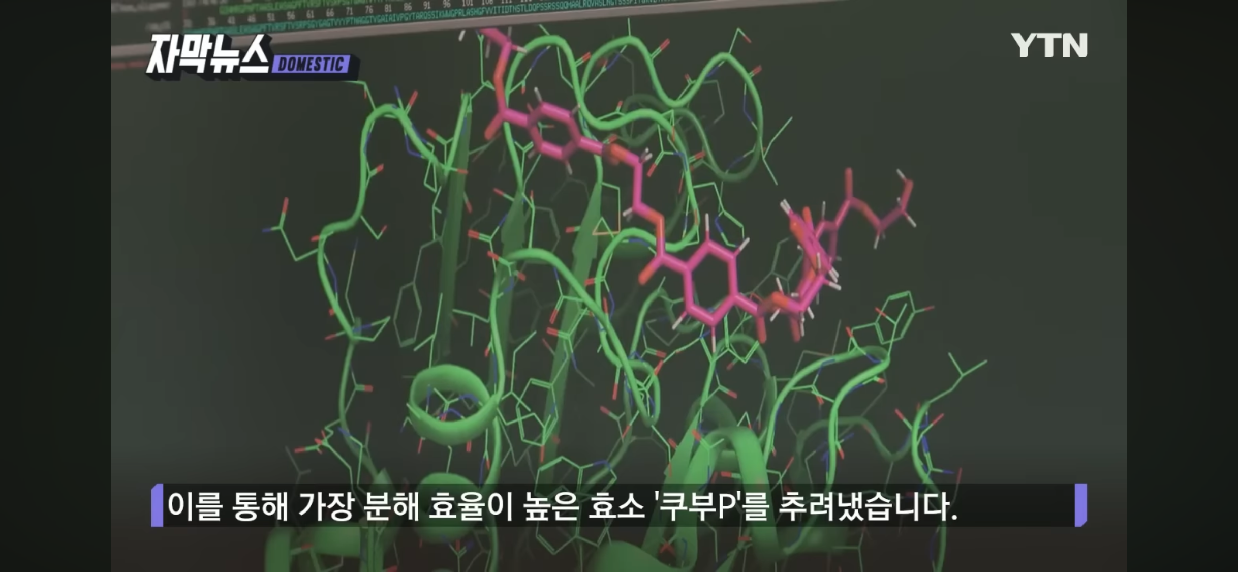 한국이 살 길은 R&D (플라스틱 분해 세계 최강 기술 개발) | 인스티즈