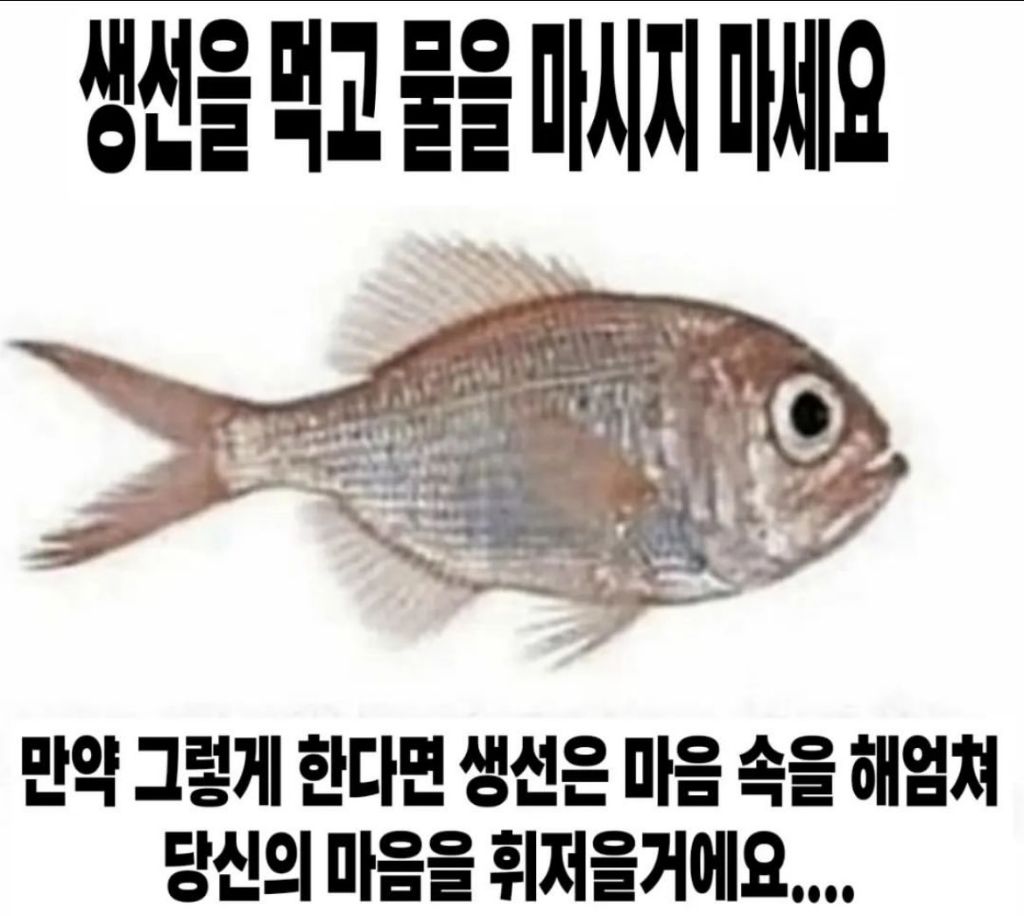 불행한 세상에서 가능한 사랑은 없다 | 인스티즈