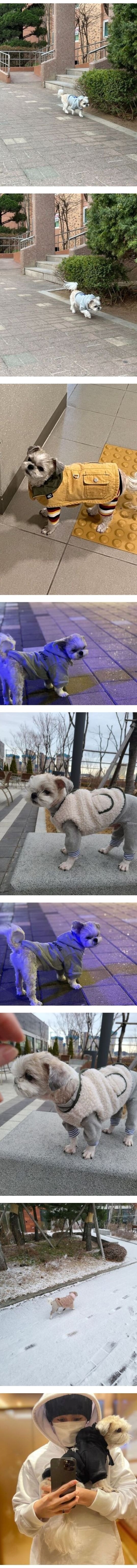 매번 목줄 착용안해서 팬들 사이에 말나오는 남돌 반려견 | 인스티즈