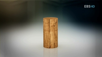 동양인 서양인 관점의 차이 | 인스티즈