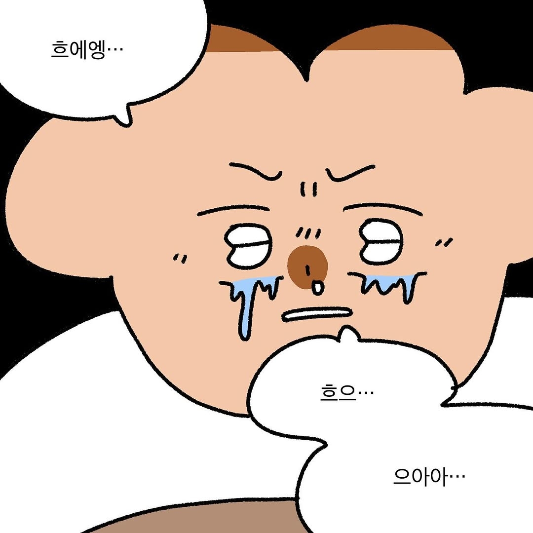 반려동물을 떠나보낸 사람이라면 공감할 인스타툰 | 인스티즈