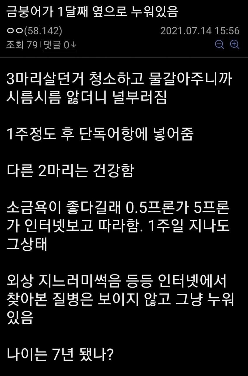 엄마집 금붕어들 보고가라 (이게 사랑이 아니면..) | 인스티즈