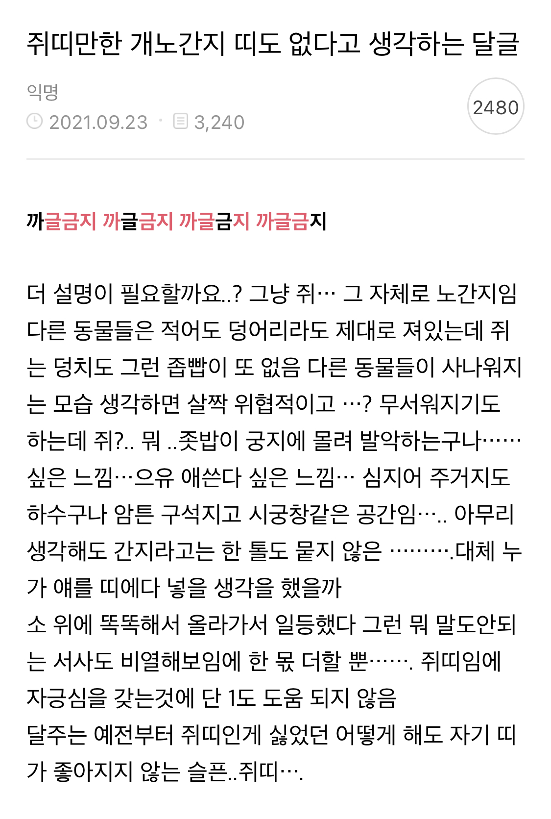 쥐띠만한 개노간지 띠도 없다고 생각하는 달글 캡쳐ㅋㅋㅋㅋ.jpg | 인스티즈
