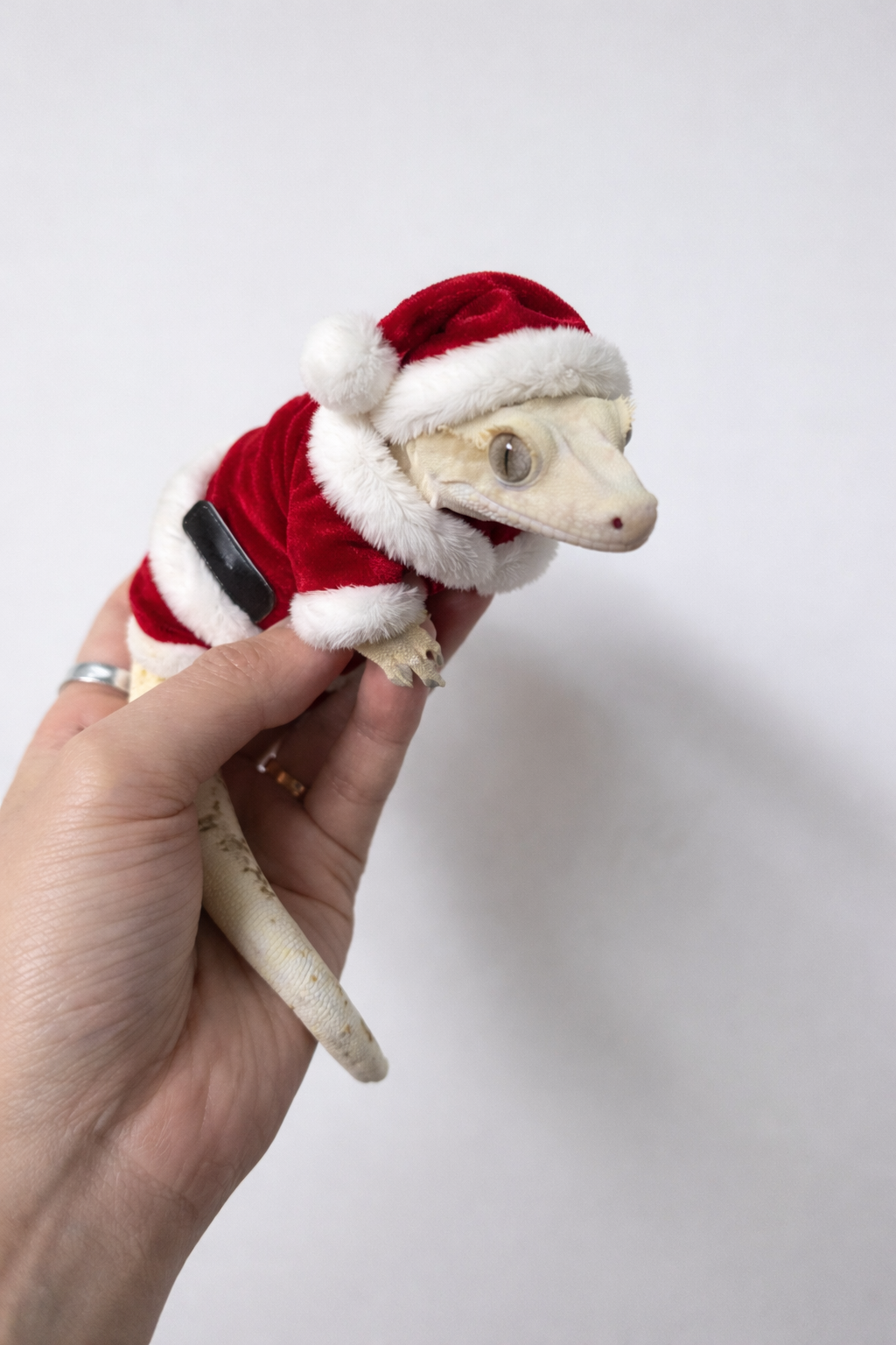 메리크리스마스 ㅋ (마뱀 주의) | 인스티즈