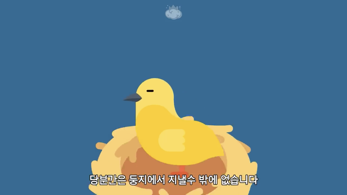 거리에 비둘기가 이렇게 많은데 왜 새끼 비둘기는 안 보일까? | 인스티즈