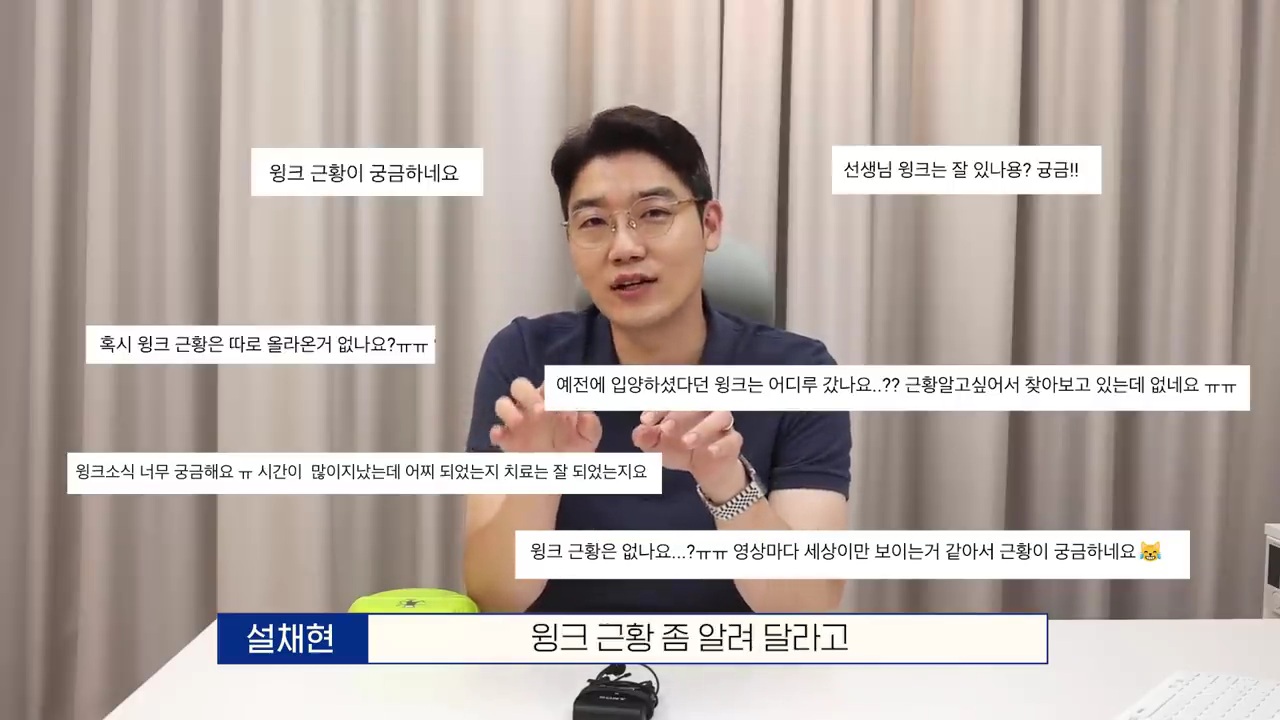 교통사고난 유기견 입양한 설채현 수의사 그리고 윙크 근황😉 | 인스티즈