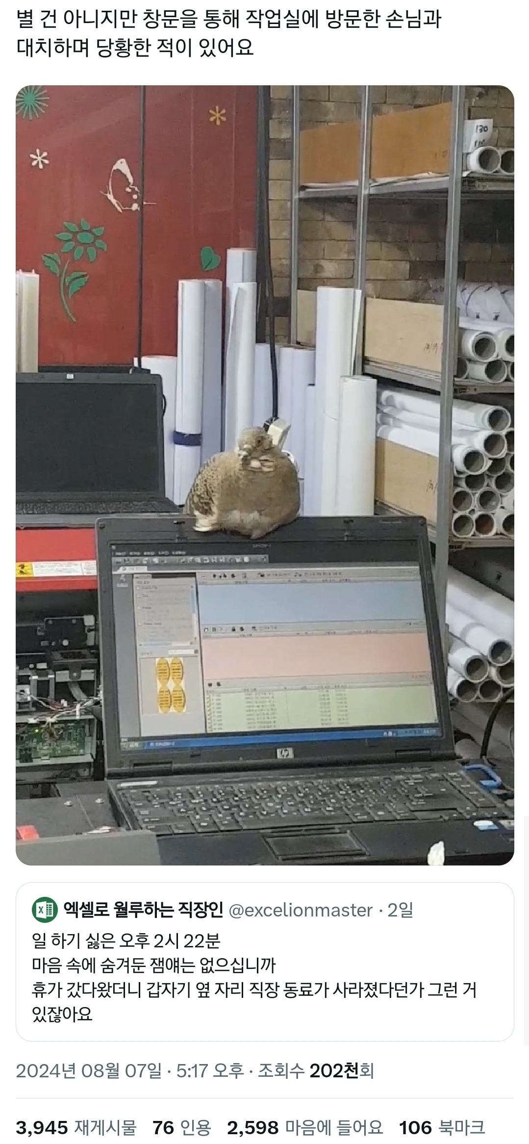 현재 온갖 기기괴괴한 인용 다 달리는 중인 직장인 트윗.twt | 인스티즈