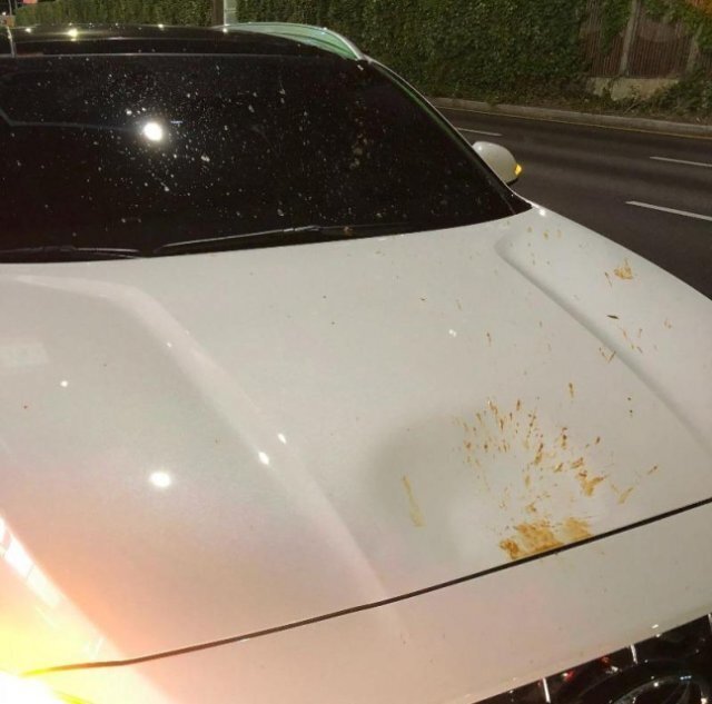 주행 중 車에 음식 쓰레기가 뚝…"청국장 냄새 진동” | 인스티즈
