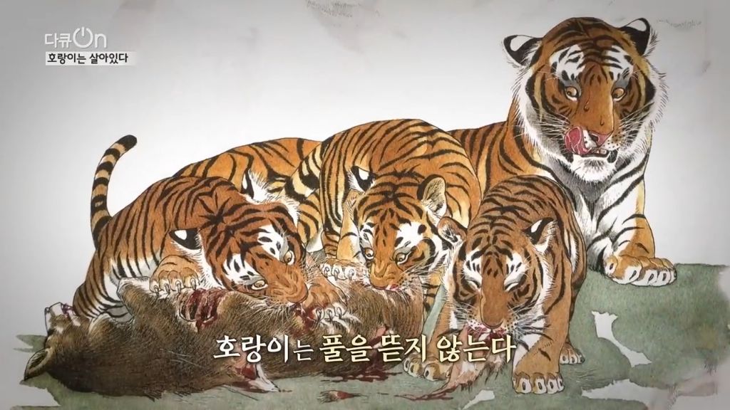 '절멸'의 '한국 호랑이'. 🐅 그 100년간의 이야기. -마지막- | 인스티즈