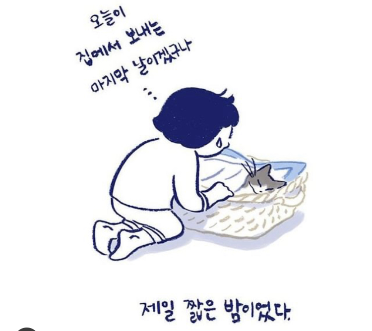 반려동물을 떠나보낸다는 것 | 인스티즈