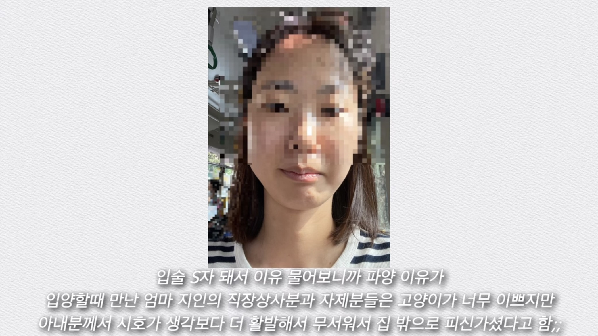 언니가 다리다친 아기고양이를 주워왔다 | 인스티즈