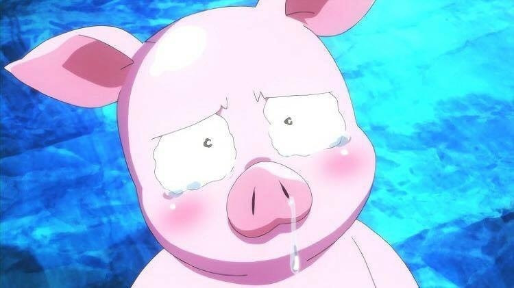 밤에 먹는 사과는 정말 독사과일까 | 인스티즈