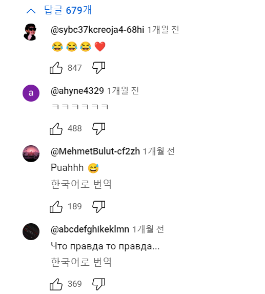 유튜브 까마귀 영상에 달린 댓글 하나로 이루어진 세계통일 | 인스티즈