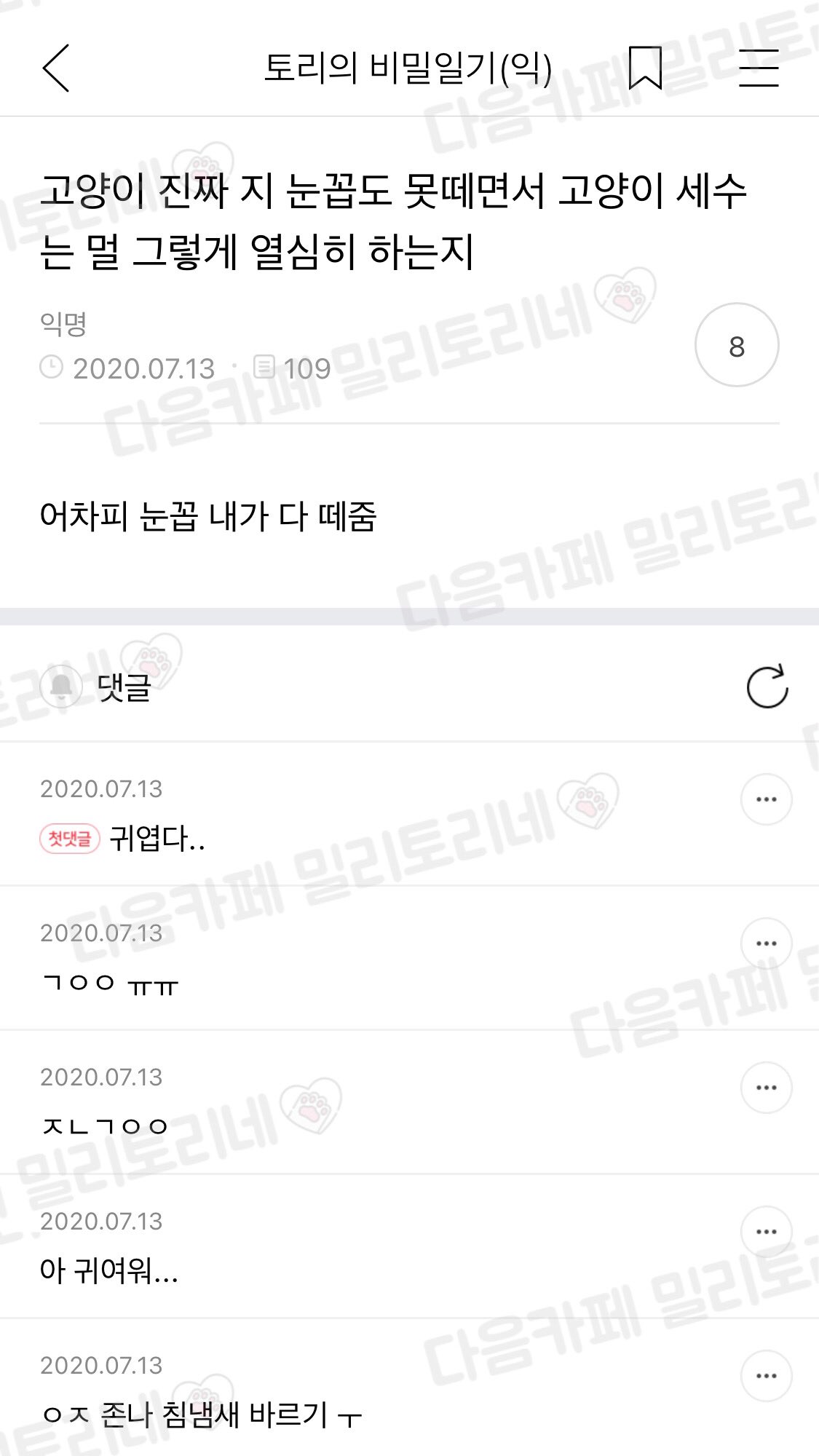 고양이 진짜 지 눈꼽도 못 떼면서 고양이 세수는 멀 그렇게 열심히 하는지 | 인스티즈