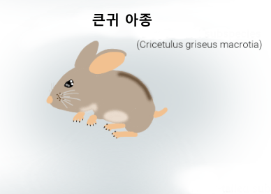 햄스터가 외계행성의 지배자가된 세계관 | 인스티즈