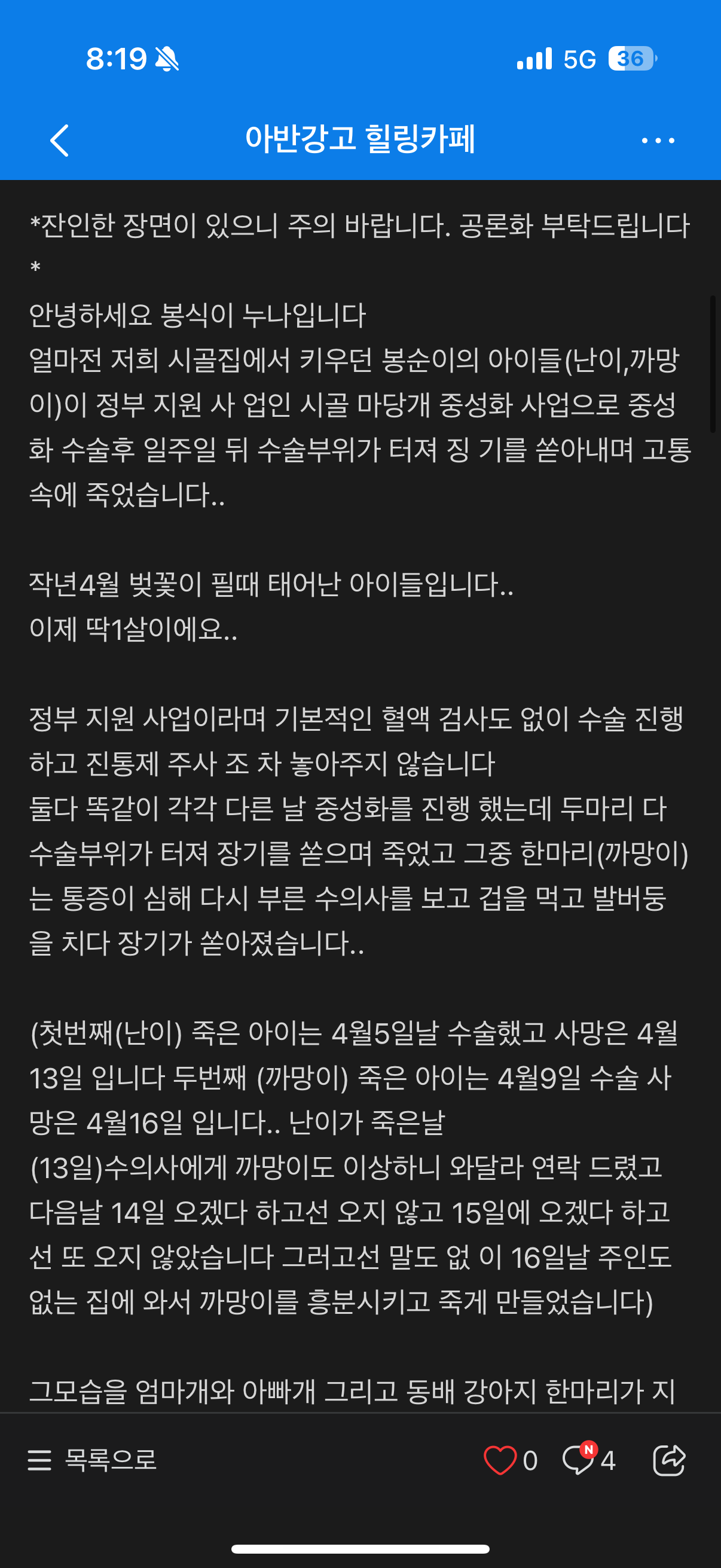 정부 지원사업인 시골 마당견 중성화 사업으로 건강하던 1살 강아지 두마리가 장기를 쏟아내며 사망했습니다 | 인스티즈
