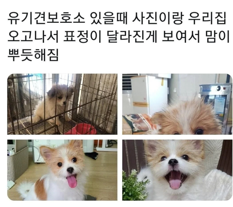 이포인트 이미지