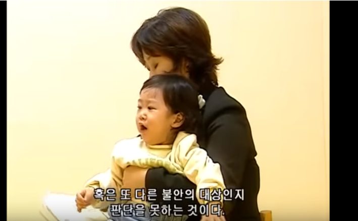 유아기에 형성되어 그 후 대인관계의 원형이 되는 부모와의 애착관계(안전,회피,혼란) | 인스티즈