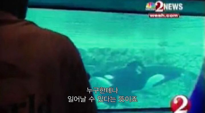 어느날 소방서에 고래가 조련사를 잡아 먹었다는 신고가 들어왔다 .jpg (스압주의) | 인스티즈