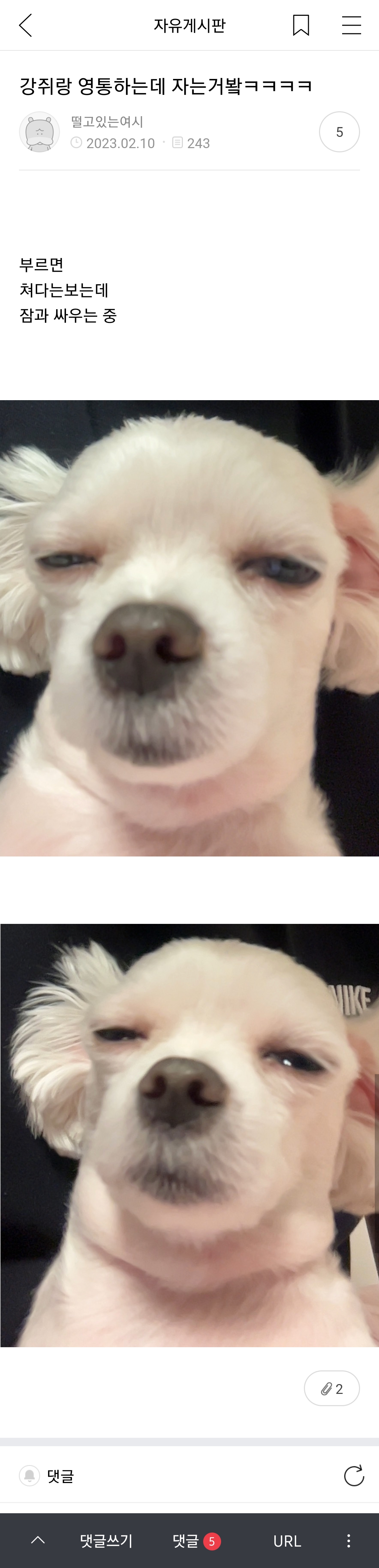 여시 캡쳐 몇개 | 인스티즈