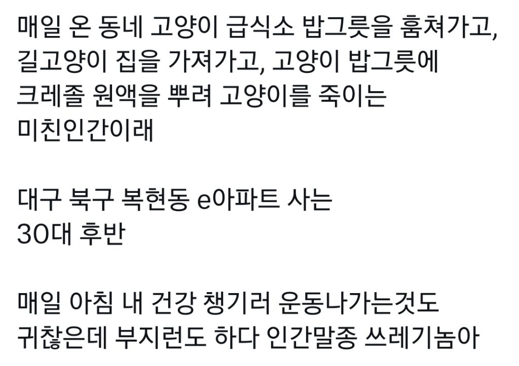 길고양이 급식소 밥그릇 훔쳐가고 XXX 뿌리는 남자 | 인스티즈